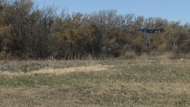 Real Ag - Ep 1005 - Cover Crops смотреть онлайн