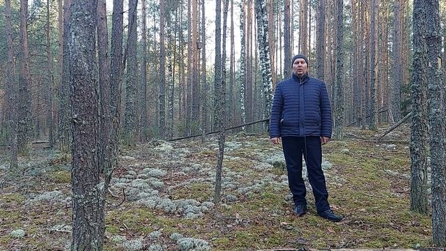 Судебные приставы как спасти имущество от ареста юрист Вадим Видякин Киров в Законе смотреть онлайн