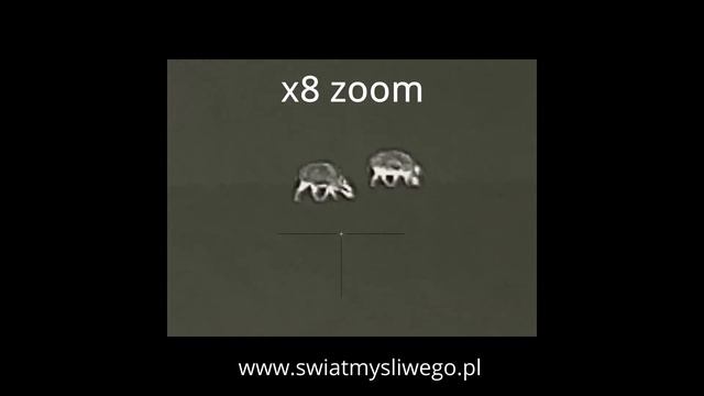 Celownik Rico RL42 смотреть онлайн