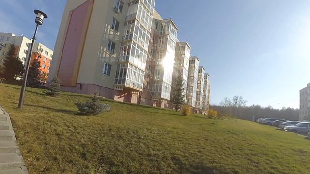 Кому отдали собак в Лесной поляне. Ищем место для шпицефермы