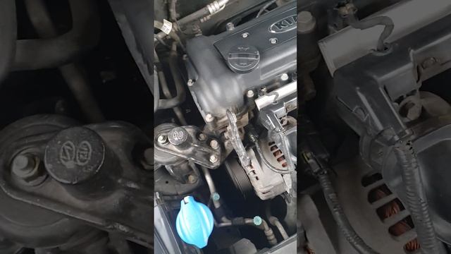 На холодную слышен звук как будто что то тарахтит, после пропадает Киа Рио 3 2016 г.в. 1.6 дв. смотреть онлайн