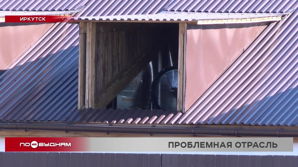 Почти 30 миллионов штрафа заплатит житель Баяндая за нелегальную добычу криптовалюты