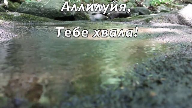 Всякий жаждущий, иди и пей /Песнь возрождения-1699