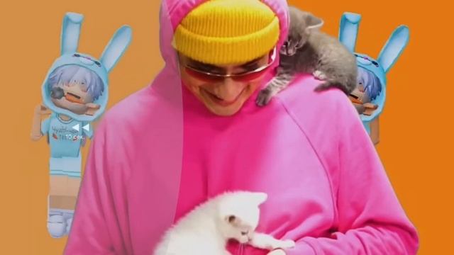 Холи бам песня про морковь 1 час (авторы @holy baam чудо чай)