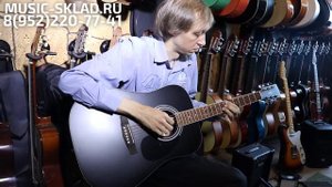 Обзор электроакустики Parkwood W81E BKS