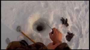 Зимняя рыбалка Чебакуль 2.03.2017