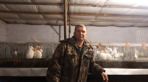 Кролик Хиплюс или Хинколь