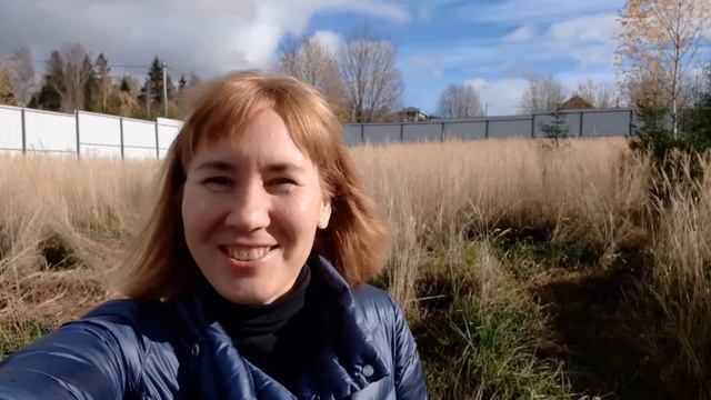 ВЫБОР СДЕЛАН. Итоги поиска земельного участка под строительство дома и выезд накануне сделки (2020) смотреть онлайн