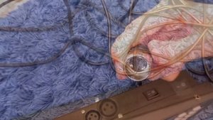 ПРОЖЕКТОР LEDPAR 56BK/КОНТРОЛЛЕР DMX 512/ КАК РАБОТАЕТ?