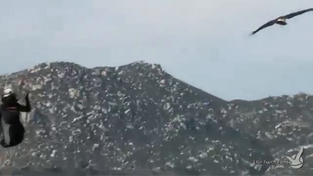 Полет на параплане с соколом смотреть онлайн