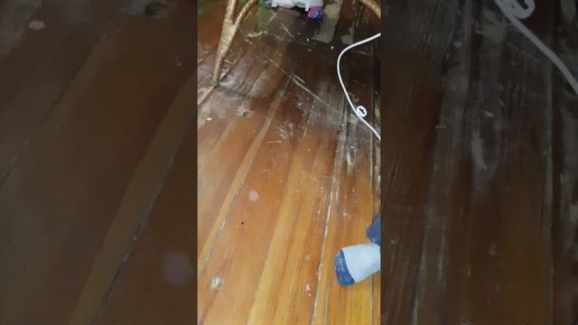 Подарили собаку (2018 год) смотреть онлайн