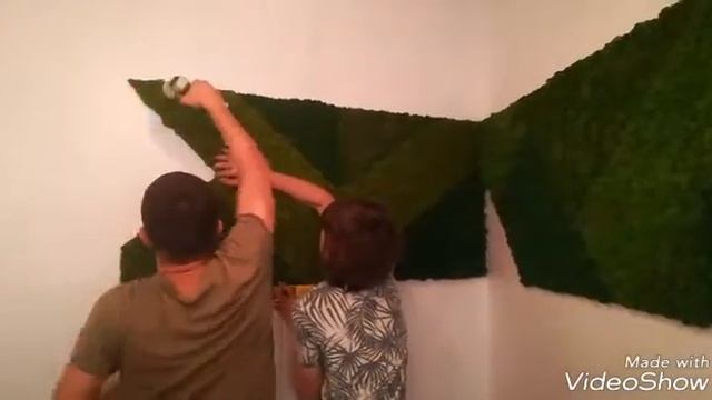 Мох ягель. Декора офиса PROFI.RU