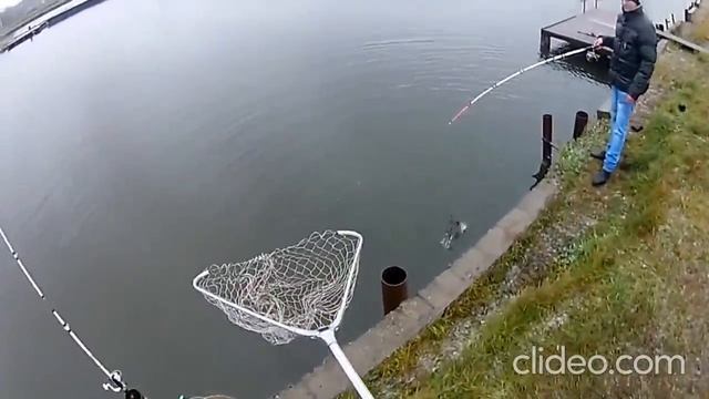 РЫБХОЗ ГЖЕЛКА