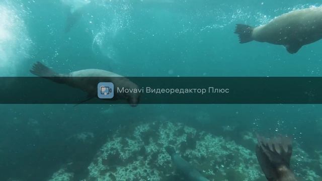 Медитация Перед Сном L 1111гц Лечебная Музыка Для Снятия Стресса Исцеляющие Медитации L RelaxMusic