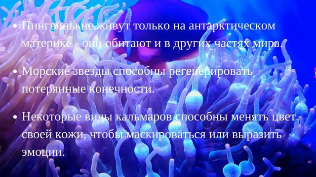Глубины Морей: Удивительные Факты о Морских Жителях