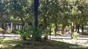 Трани, Апулийское побережье Италии. Trani Italy Puglia