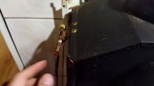 Как провести техническое обслуживание газовой колонки своими руками?