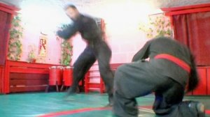 Школа Тпйпин - боевые искусства