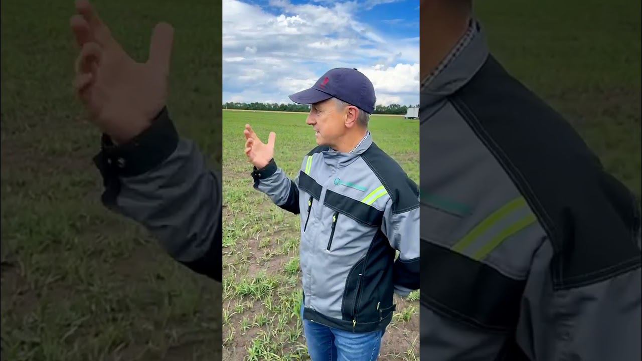 Трактор YTO 2804 с плугом ВолгаАгромаш онленд с 7 корпусами Лемкен. пахота, испытание #yto #plough смотреть онлайн