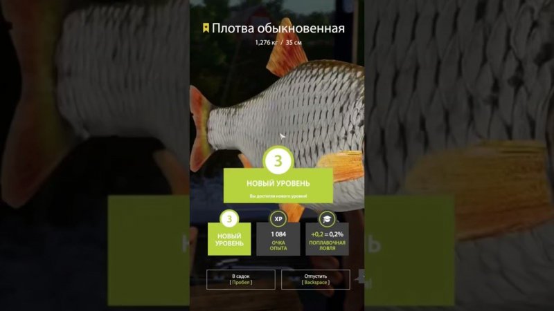 Совсем скоро новый видос на канале #трофей #русскаярыбалка4 #russianfishing4 #комариное #рр4 #extazz