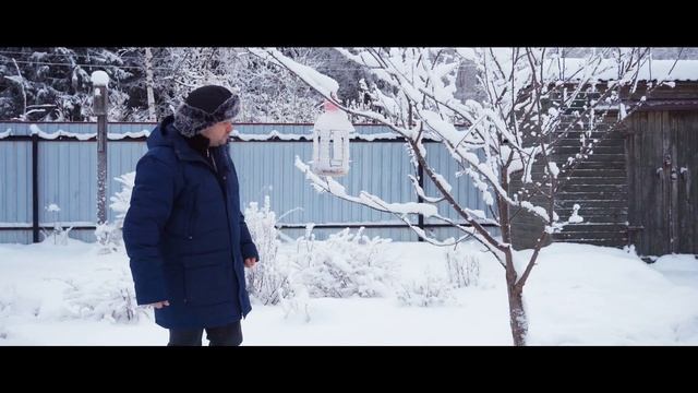 Кормушка для птиц зимой своими руками. Чем кормить синиц, снегирей, скворцов в своем саду в деревне смотреть онлайн