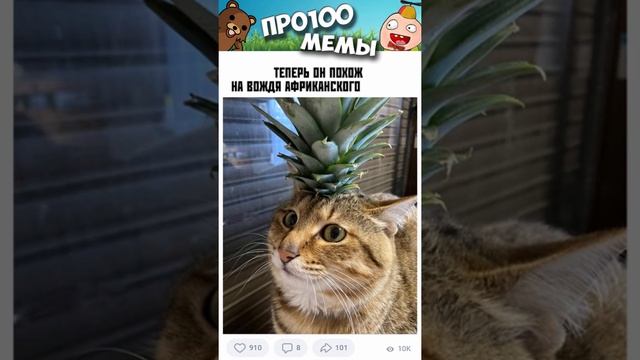 Мемы дня 2025 года Мемы и приколы с озвучкой #мемы #коты #приколы #shorts #угар #мемыпро100 #коты #