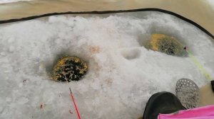 Зимняя рыбалка.Тестирую тёплый пол для китайской палатки.Обогрев палатки.Печки из консервных банок.