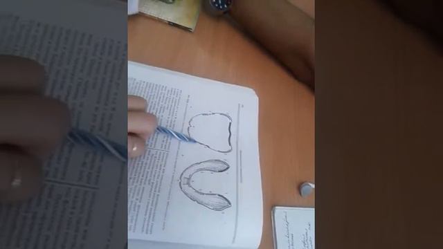 Определение центральный окклюзии жёсткий базис индивидуальная ложка