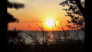 Ф. Шопен Сумерки