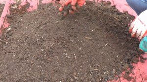 Подготовка почвы для рассады все на ютуб канале "Огород Сибири дела семейные"