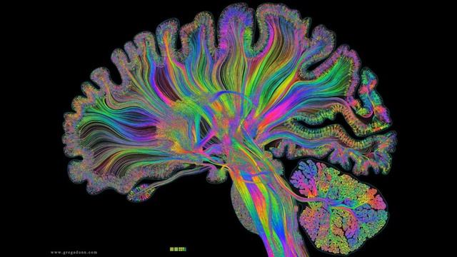 Медитация для полного расслабления всего тела и организма смотреть онлайн