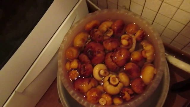 MVI 0103 СОРТИРОВКА ГРИБОВ смотреть онлайн