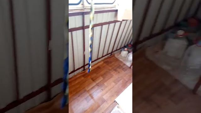 Вот как люди съезжают со съемной квартиры не заплатив денег смотреть онлайн