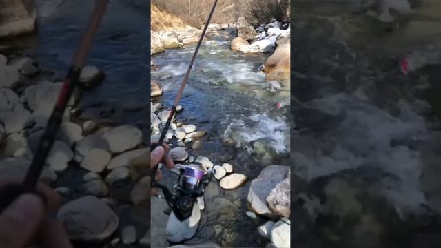 рыбалка река Аламедин 2021 Бишкек Кыргызстан