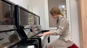 Тимоти Браун «Танец ветра» исп. Свекла Антонина