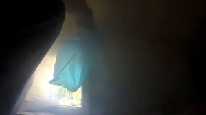 Уничтожение гнёзд ос - 3 - Дезфокс