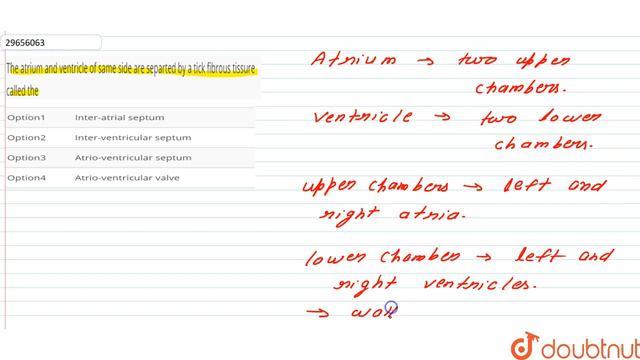 The atrium and ventricle of same side are separted by a tick fibrous tissure called the смотреть онлайн