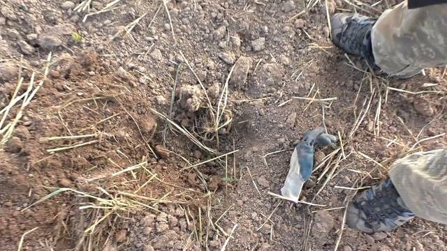 Заехали на распаханную деревню. Находки не заставили себя долго ждать.