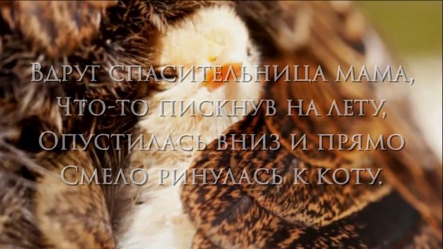 стихи Эдуарда Асадова про МАМУ смотреть онлайн