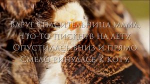 стихи Эдуарда Асадова про МАМУ