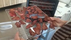 Сушим чипсы из филе индейки. Обзор дегидратора Kitfort KT-1906