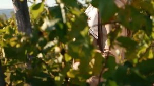 Кристина - Когда-нибудь