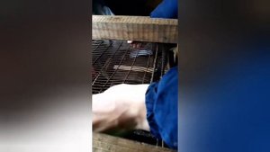 самодельная веялка для зерна почти доделал
