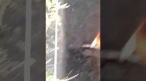 Как копать землю под фундамент, пару советов на личном опыте смотреть до конца.