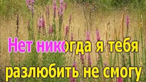 Кто тебе сказал