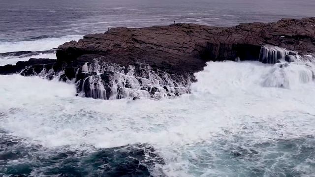 море