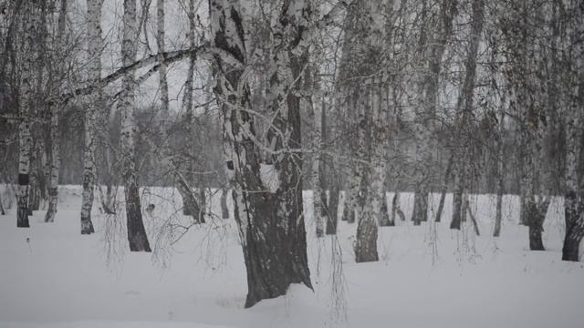 Снегоход Yamaha Ventura смотреть онлайн