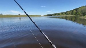 ЩУКА НА ДИКОЙ РЕКЕ Тверской области. Опустили ридж в воду и понеслось......