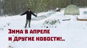 Потеряли пчёл , зато поросят и крольчат наплодилось порядочно!