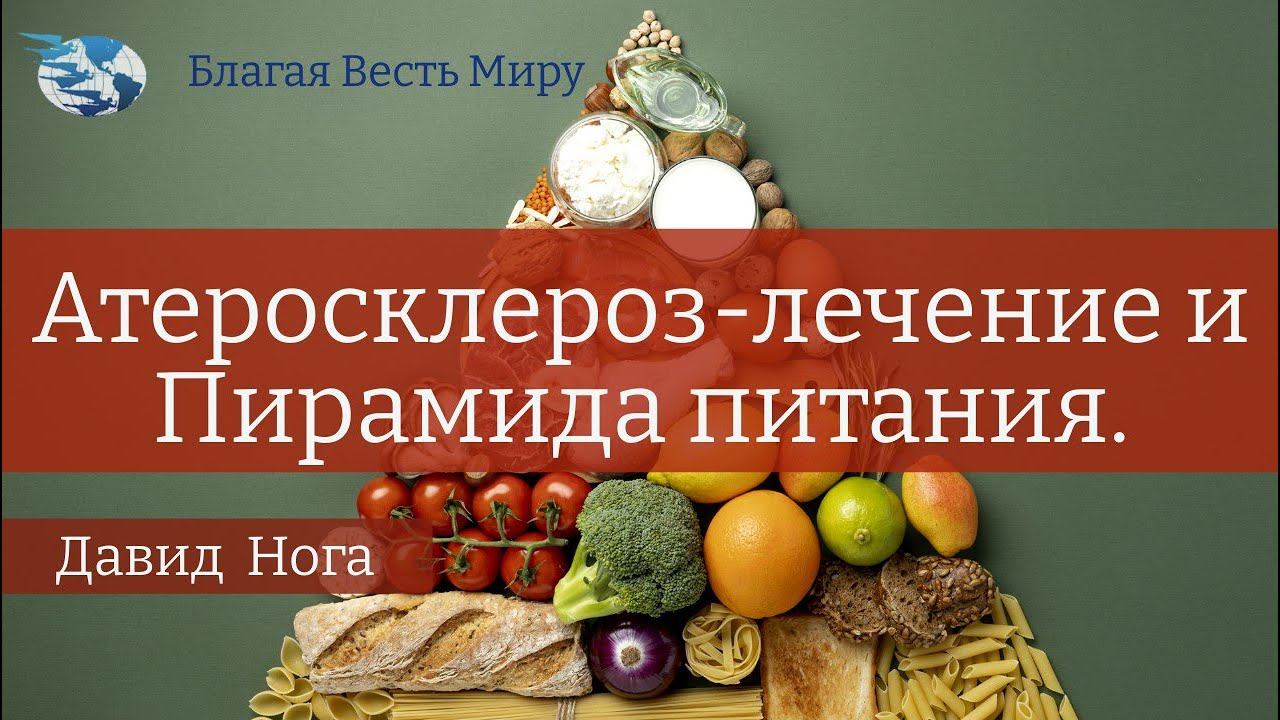 Атеросклероз-лечение и Пирамида питания.(часть-3)  / Давид Нога / 16.03.24 (с переводом)